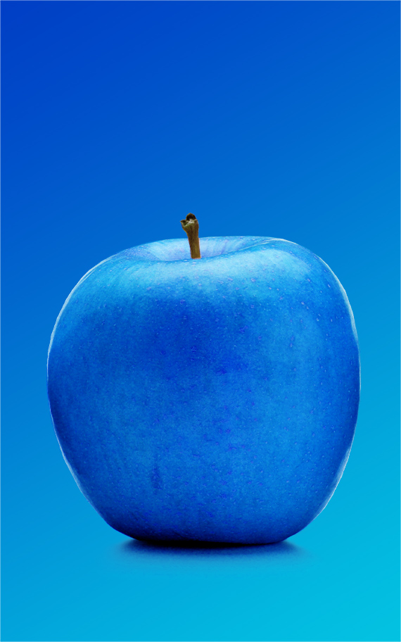 テストテストテストテストテストテストテストテスト